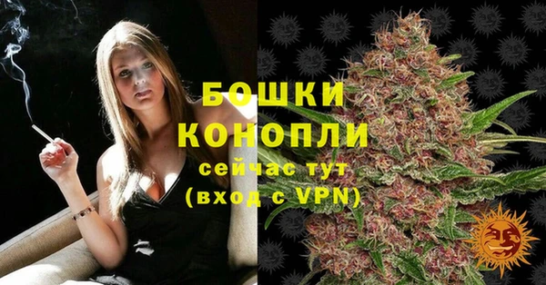 тгк Майский