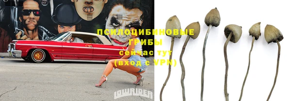 тгк Майский