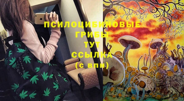 эйфоретик Магадан