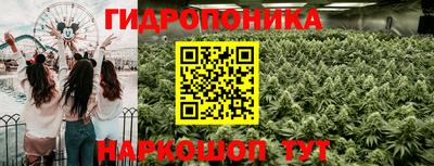 apvp Нягань