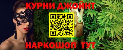 шишки Обь