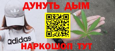 шишки Обь