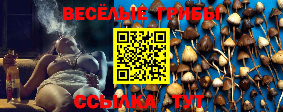 Галлюциногенные грибы ЛСД Учалы